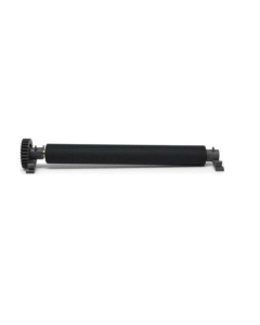 Zebra platen roller P1080383-222